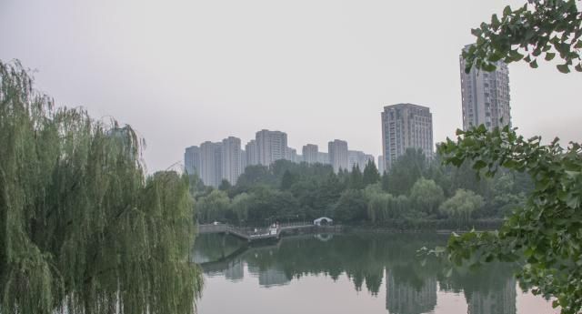 视频号如何删除动态——详细教程与技巧