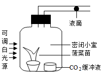 视频号如何找到专题并进行有效内容创作