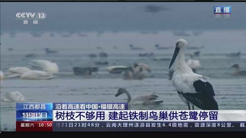 如何开通微博直播，快速吸引上万粉丝的秘诀